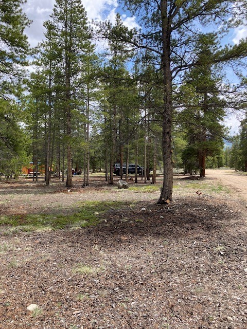 493 & 511 Spruce Drive Twin Lakes CO 81251