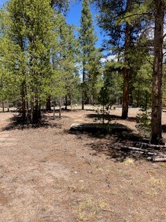 493 & 511 Spruce Drive Twin Lakes CO 81251