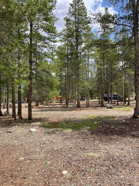 493 & 511 Spruce Drive Twin Lakes CO 81251
