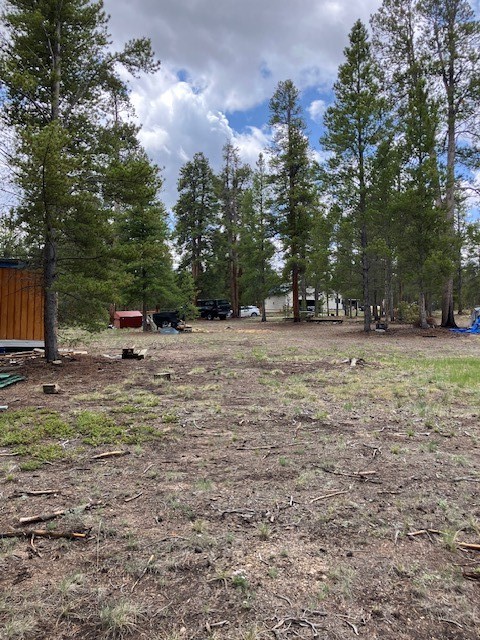 493 & 511 Spruce Drive Twin Lakes CO 81251