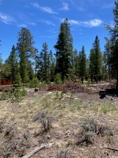 493 & 511 Spruce Drive Twin Lakes CO 81251