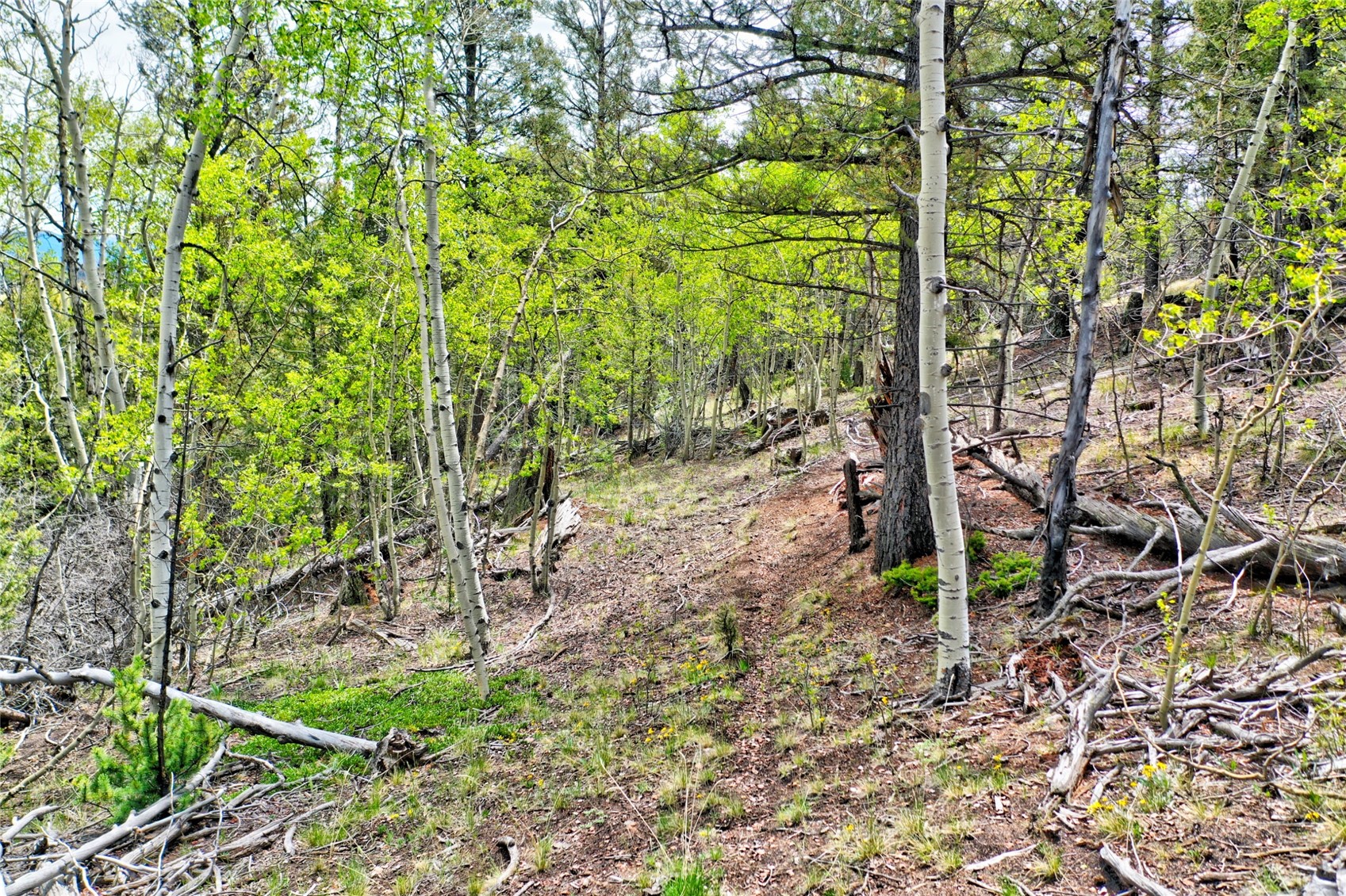 28 Old Squaw Road Como CO 80432