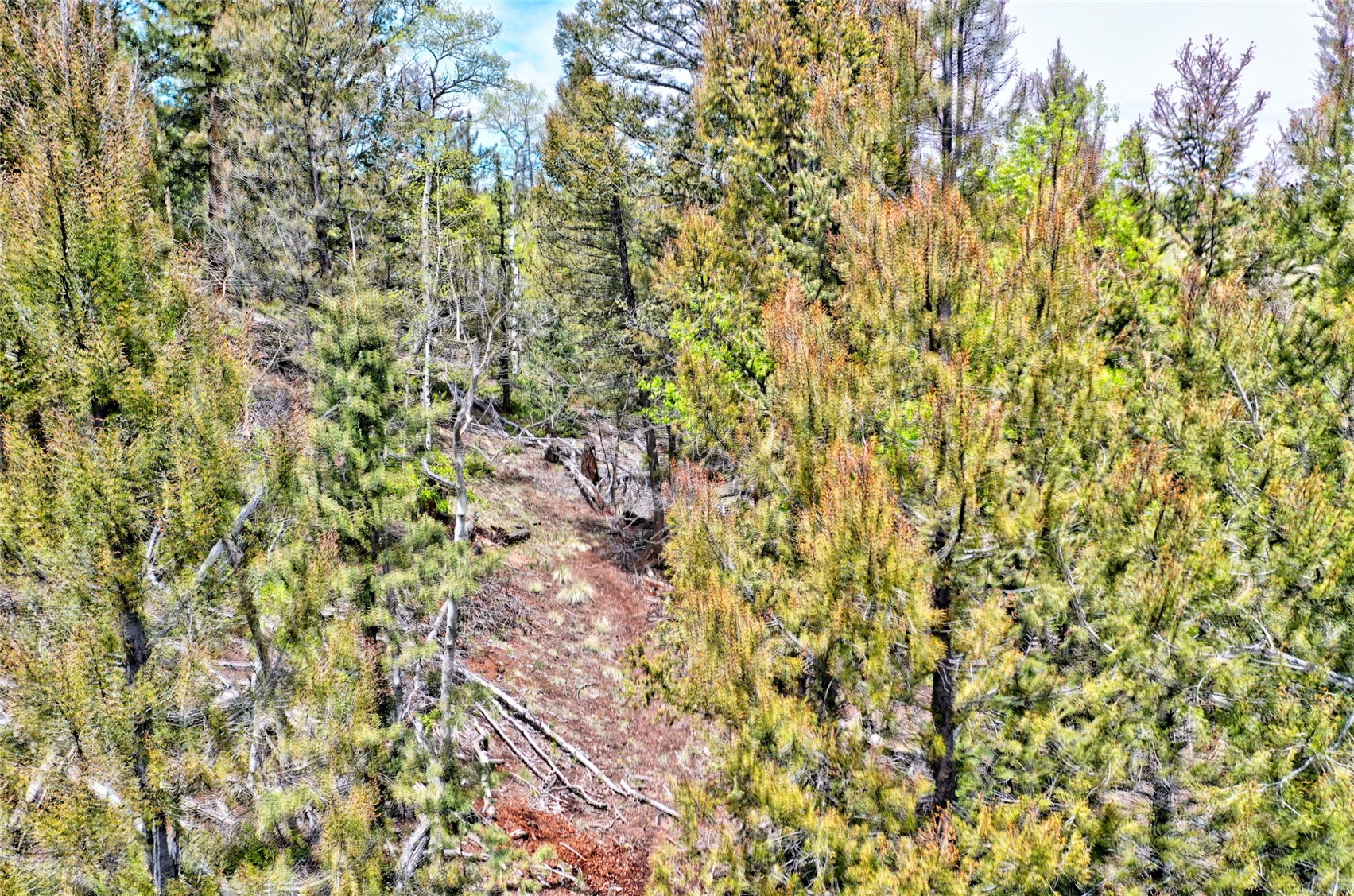 28 Old Squaw Road Como CO 80432