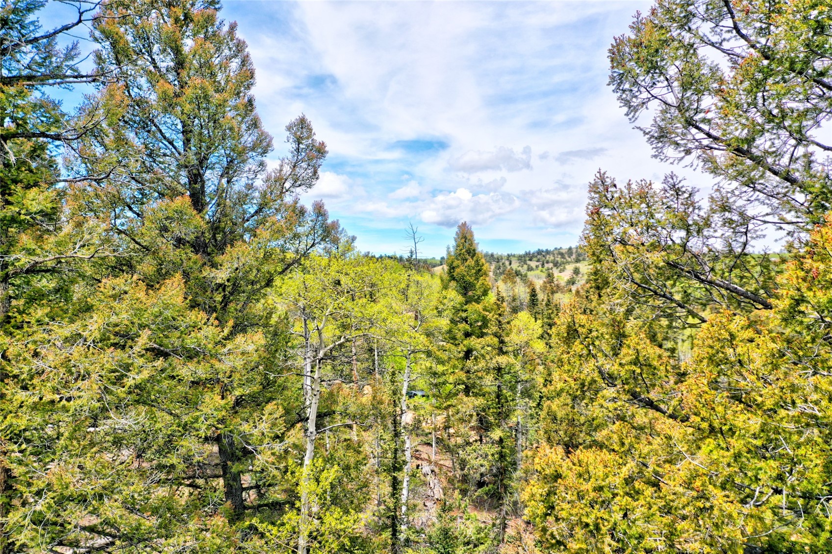 28 Old Squaw Road Como CO 80432