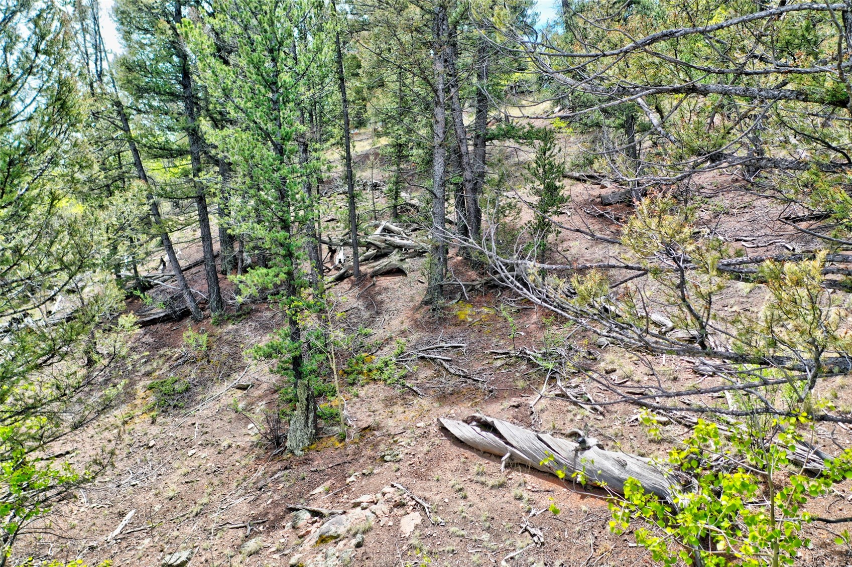 28 Old Squaw Road Como CO 80432