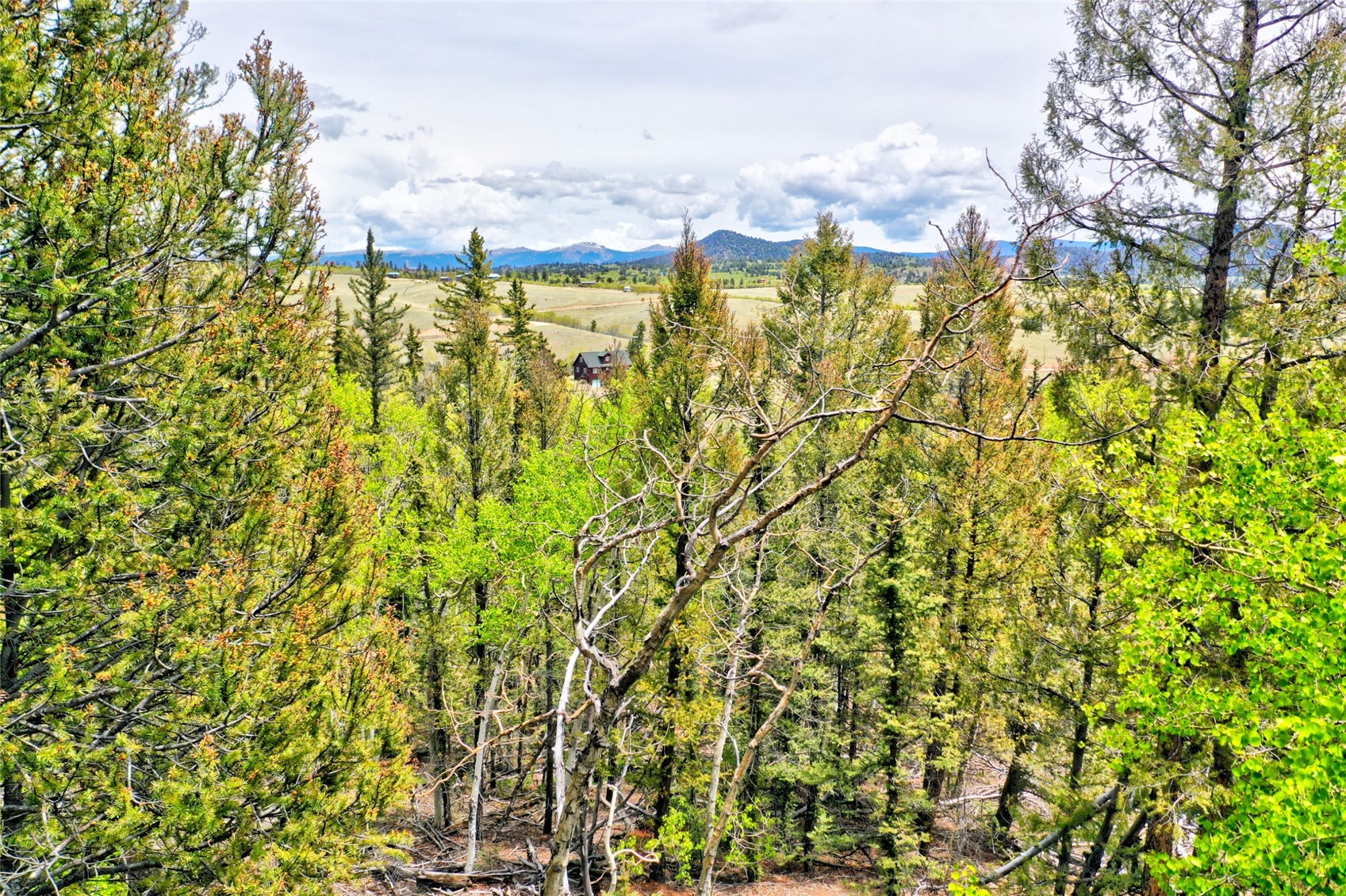 28 Old Squaw Road Como CO 80432