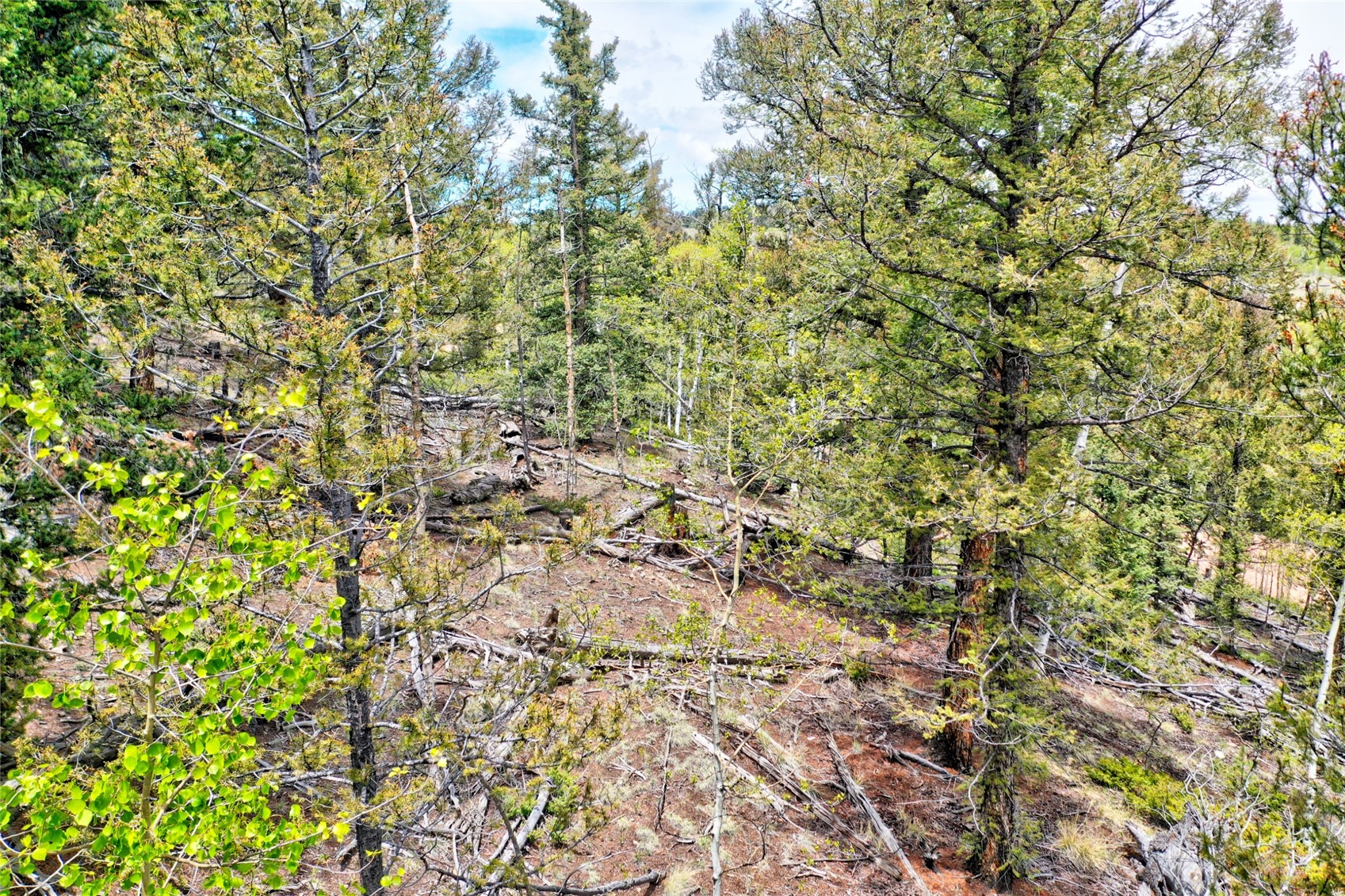 28 Old Squaw Road Como CO 80432