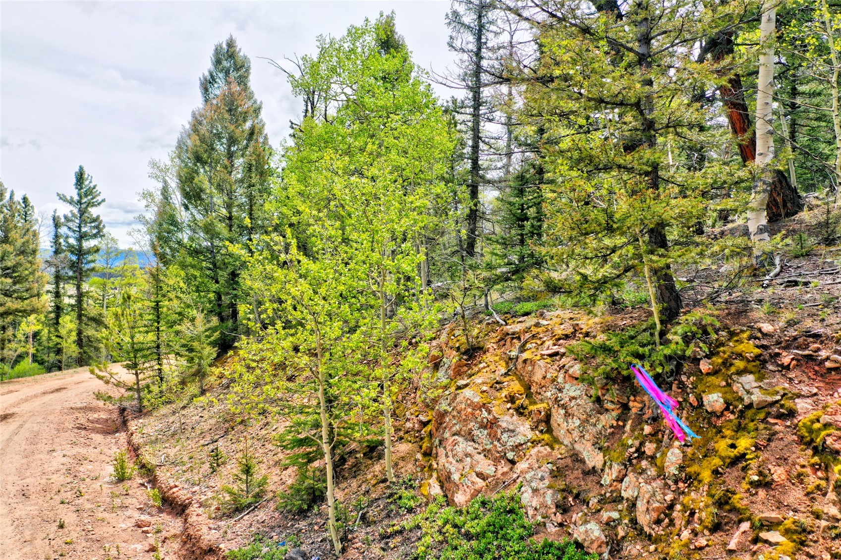 28 Old Squaw Road Como CO 80432