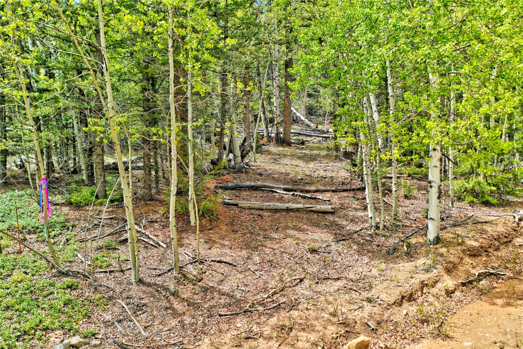 28 Old Squaw Road Como CO 80432