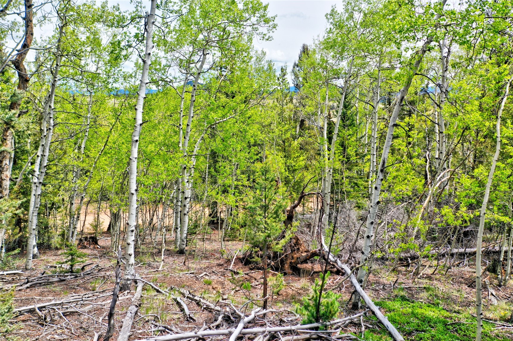 28 Old Squaw Road Como CO 80432