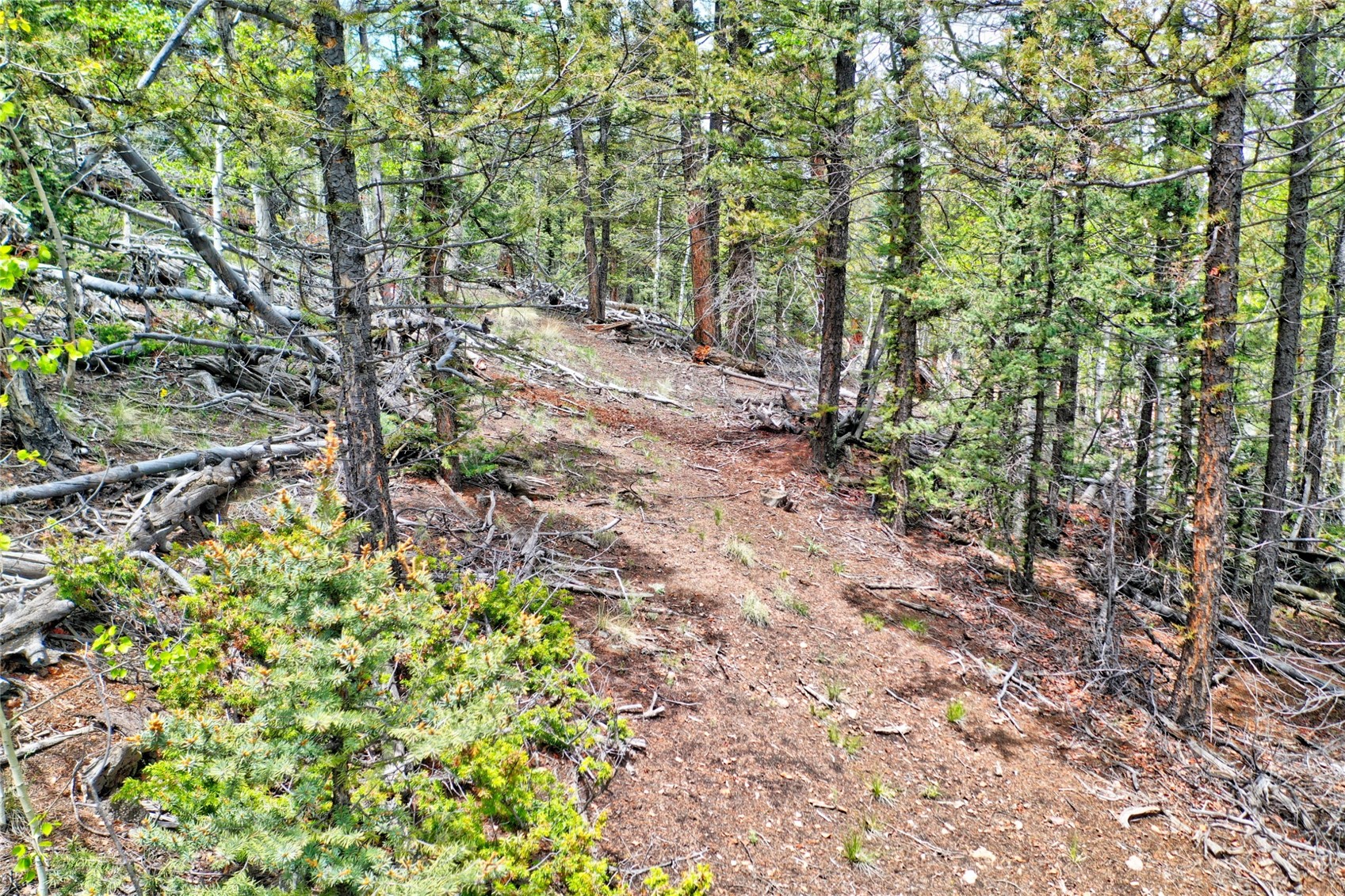 28 Old Squaw Road Como CO 80432