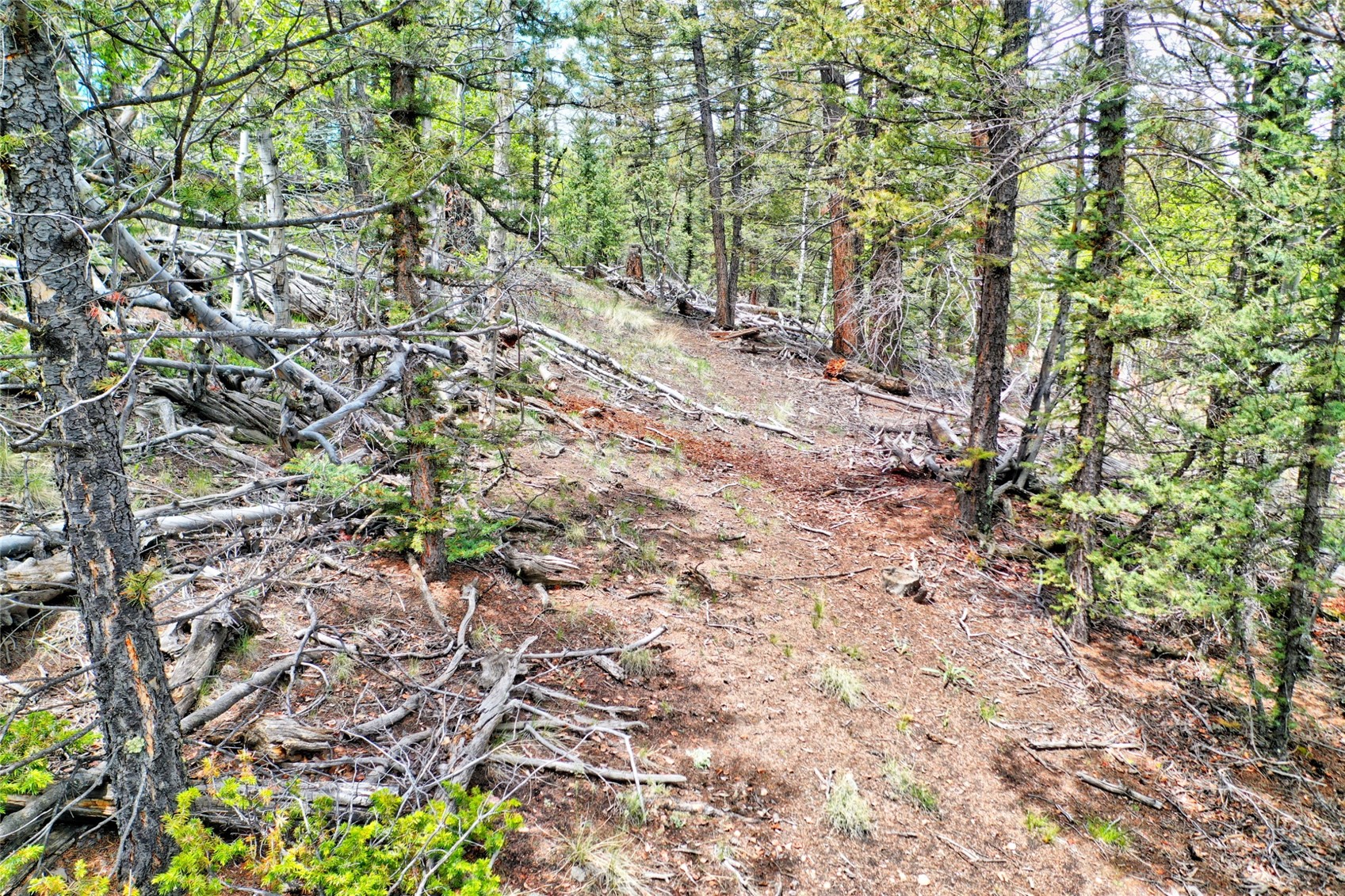 28 Old Squaw Road Como CO 80432