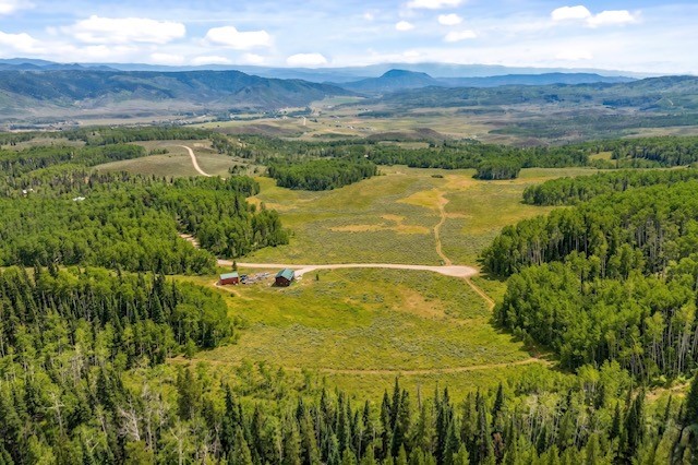 Tbd Beaver Canyon Drive Clark CO 80428