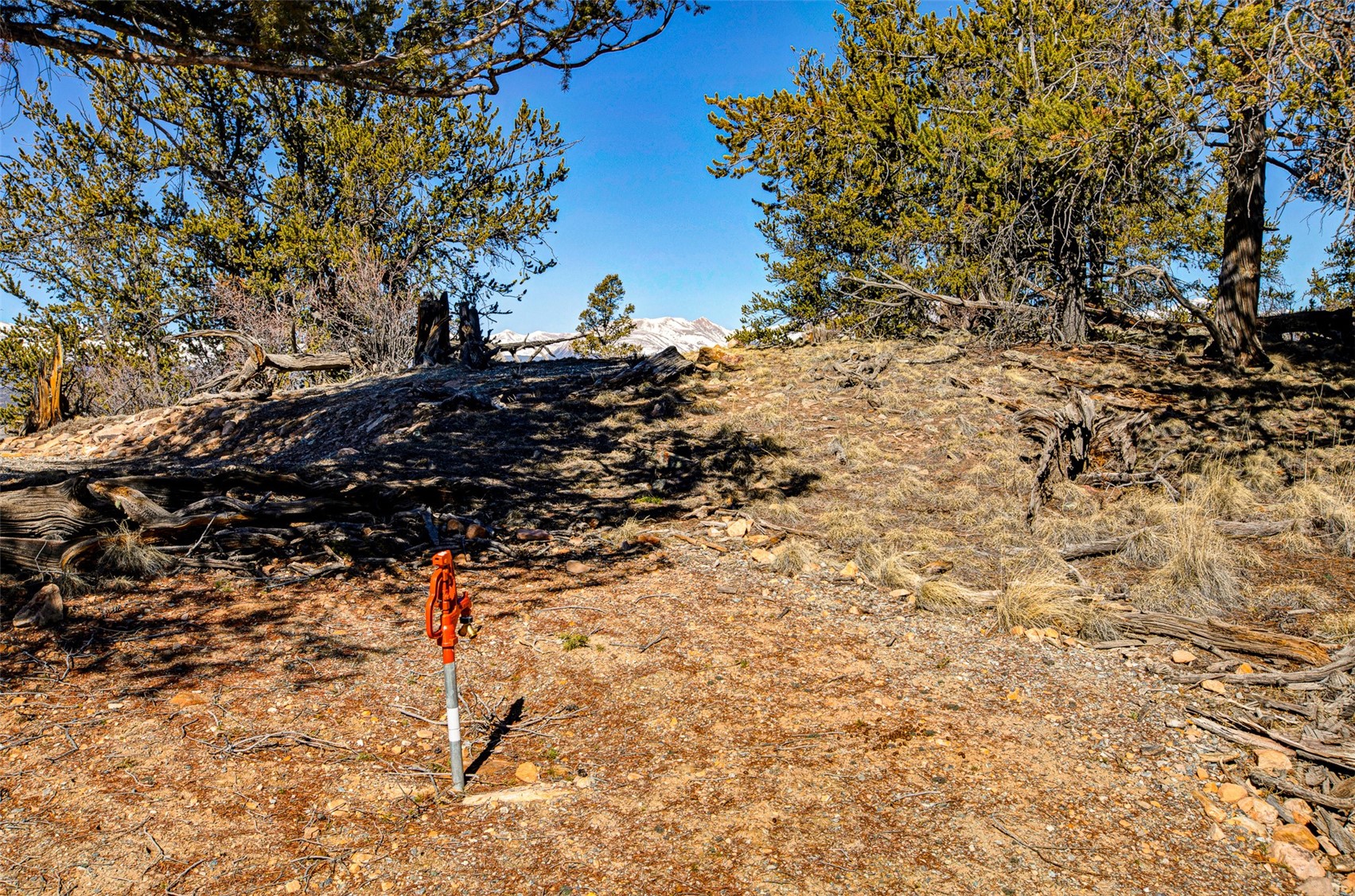 4765 Middle Fork Vista Fairplay CO 80440