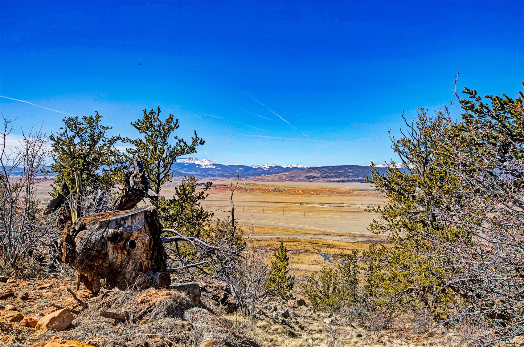 4765 Middle Fork Vista Fairplay CO 80440