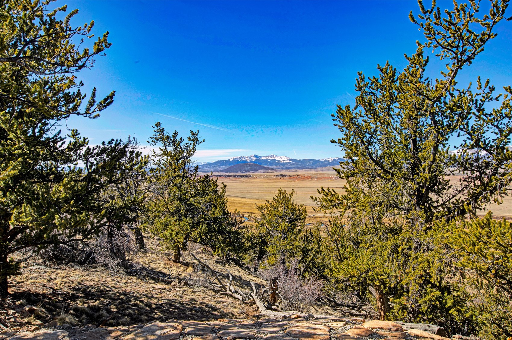 4765 Middle Fork Vista Fairplay CO 80440