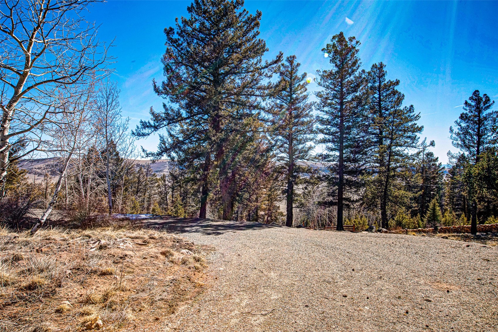 4765 Middle Fork Vista Fairplay CO 80440