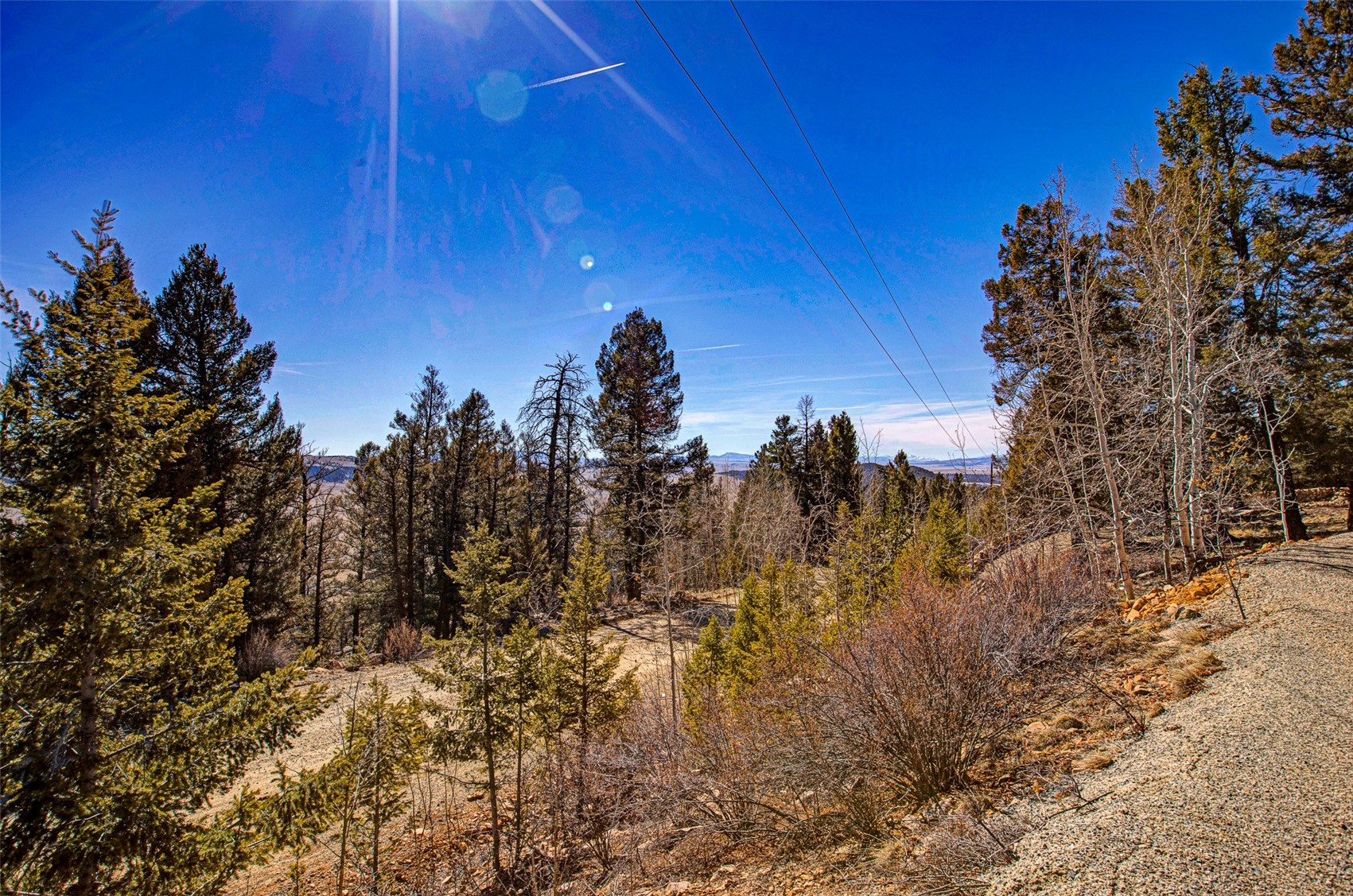 4765 Middle Fork Vista Fairplay CO 80440