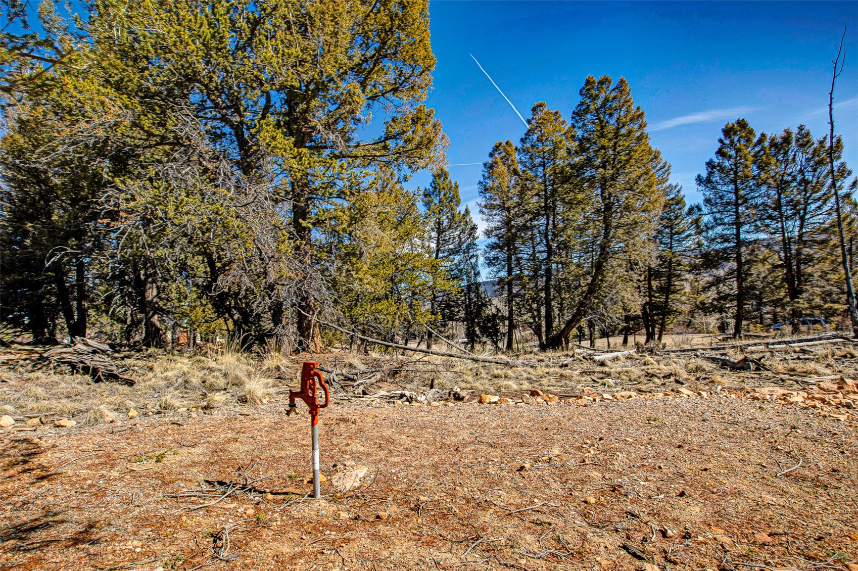 4765 Middle Fork Vista Fairplay CO 80440