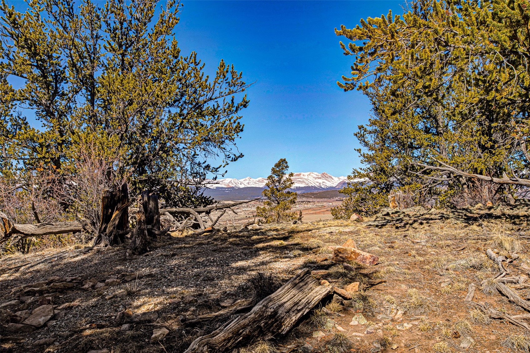 4765 Middle Fork Vista Fairplay CO 80440