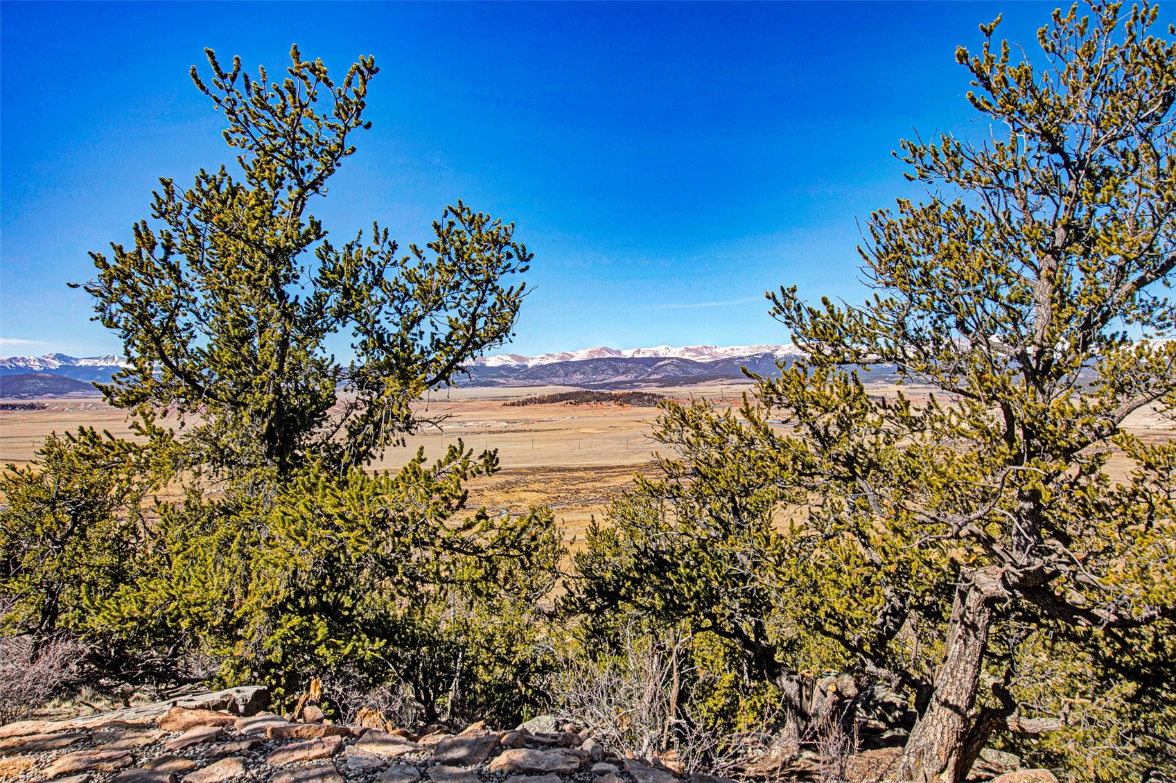 4765 Middle Fork Vista Fairplay CO 80440