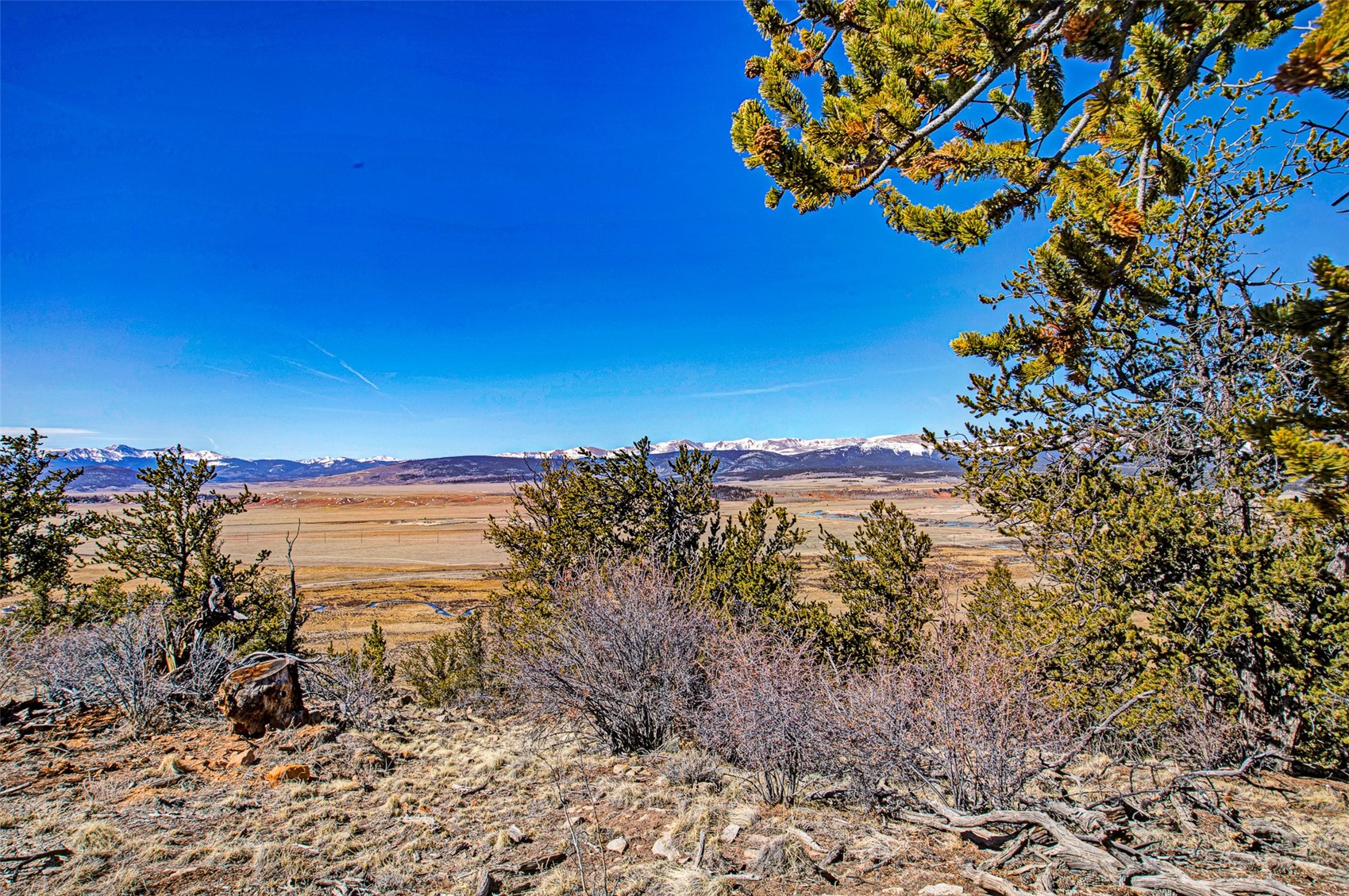 4765 Middle Fork Vista Fairplay CO 80440