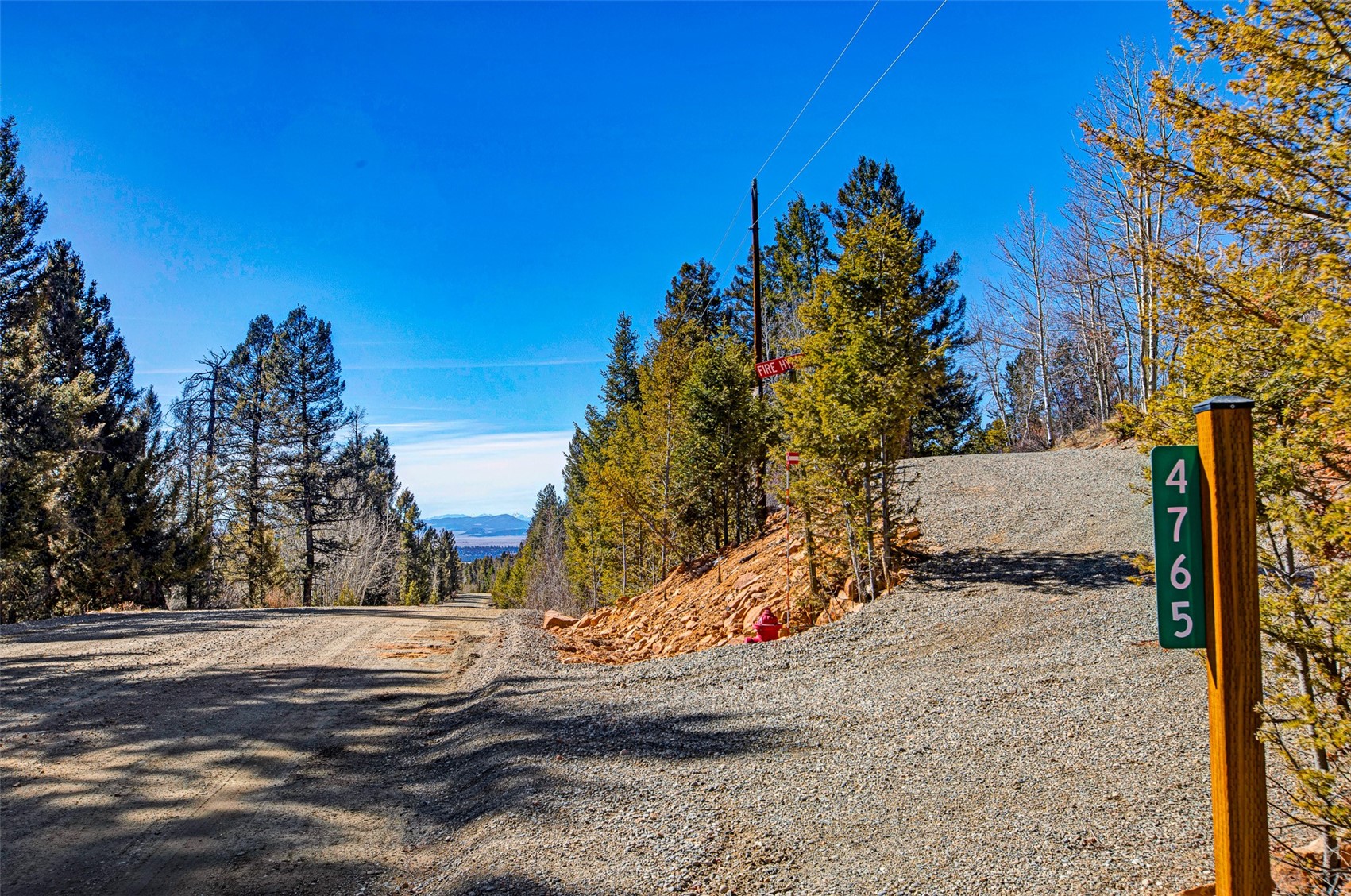 4765 Middle Fork Vista Fairplay CO 80440