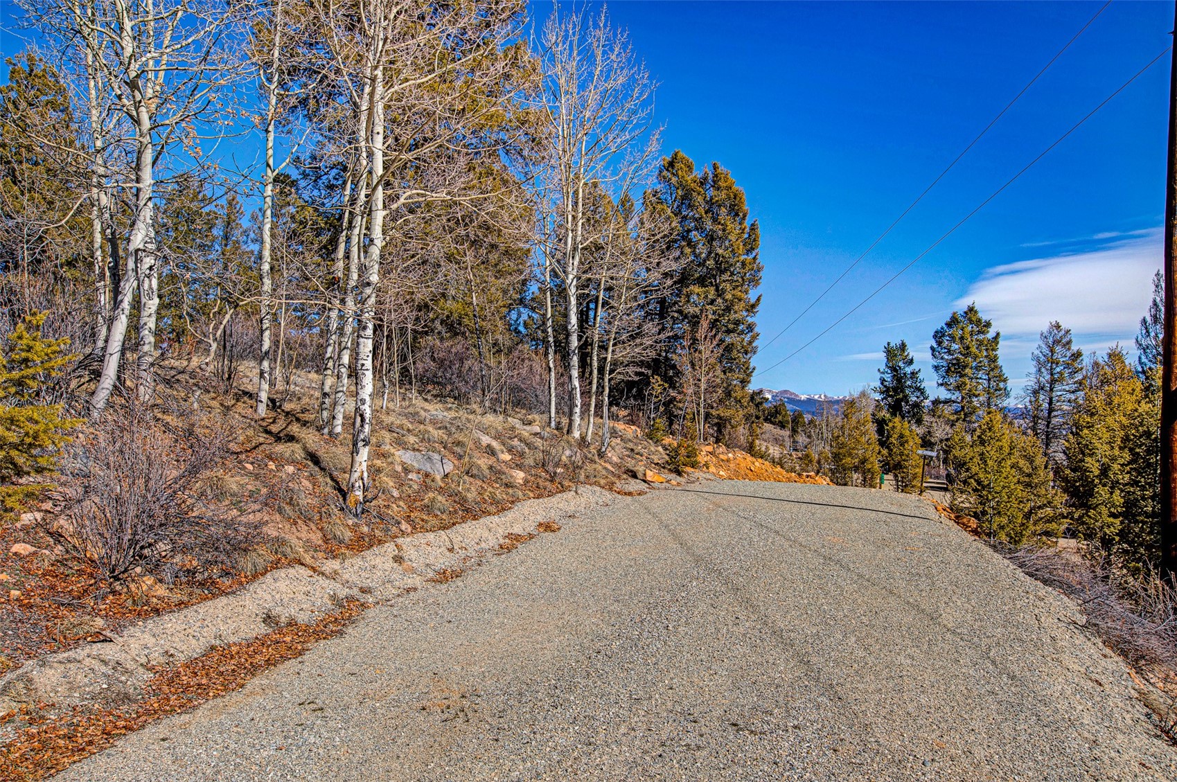 4765 Middle Fork Vista Fairplay CO 80440