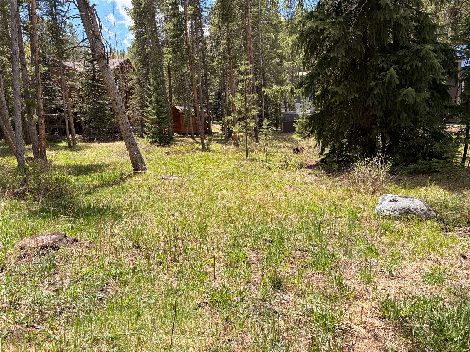172 Tomahawk Lane Breckenridge CO 80424