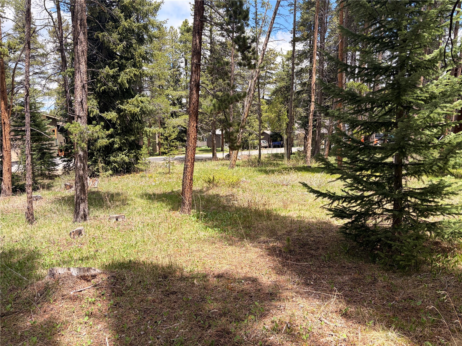 172 Tomahawk Lane Breckenridge CO 80424