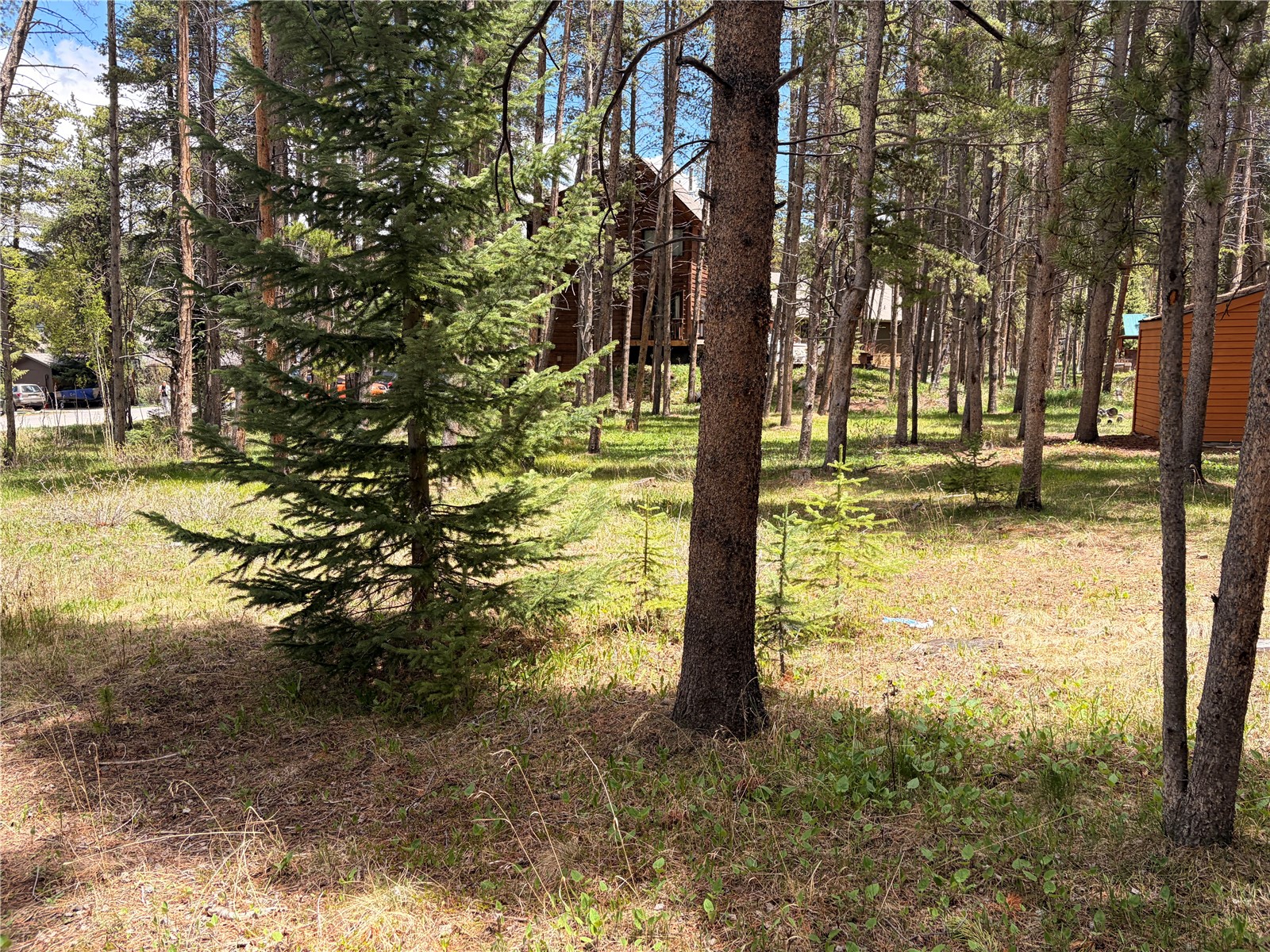 172 Tomahawk Lane Breckenridge CO 80424