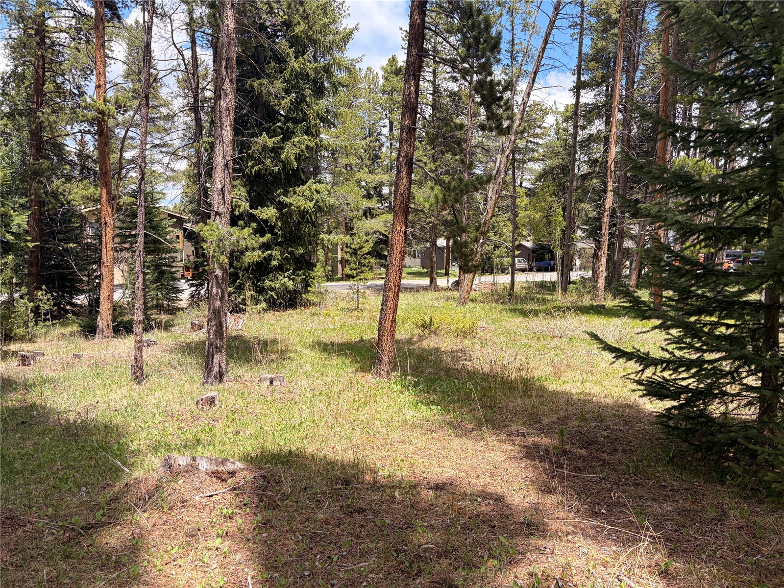 172 Tomahawk Lane Breckenridge CO 80424