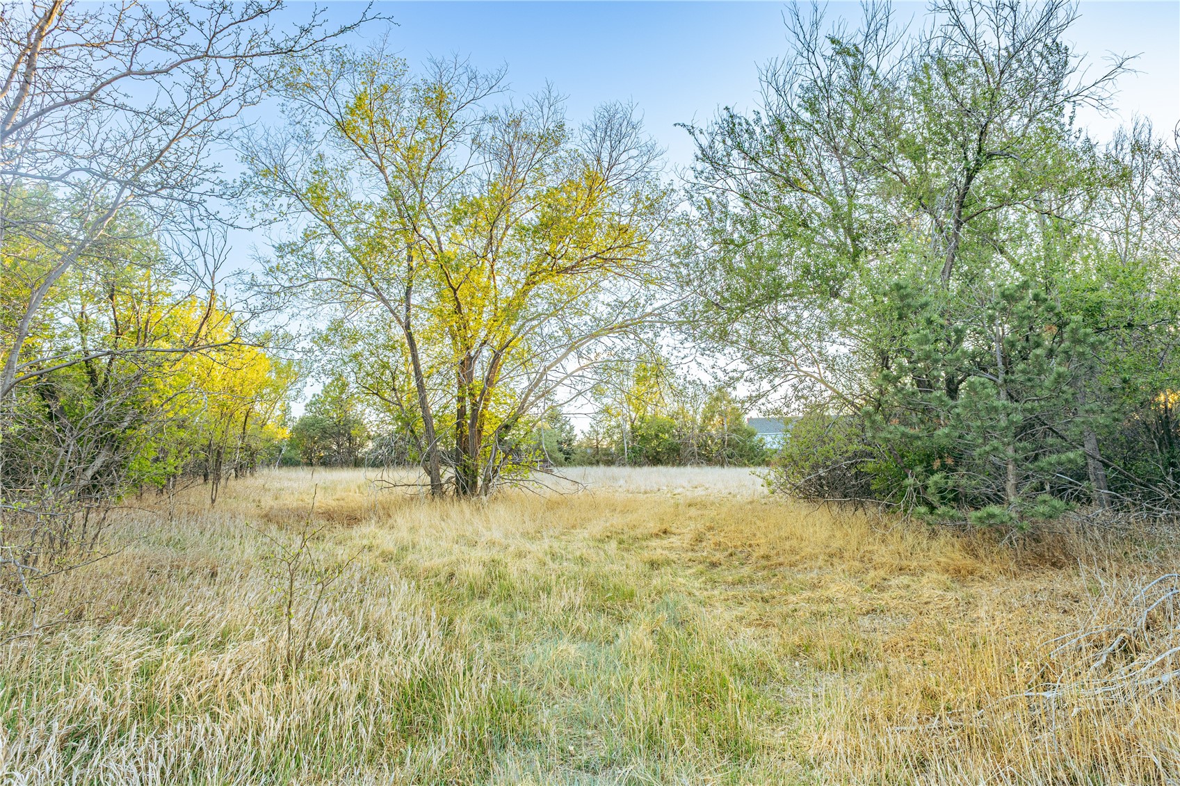 19861 Barnes Circle Other CO 80751