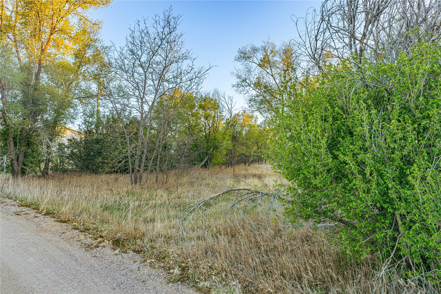 19861 Barnes Circle Other CO 80751