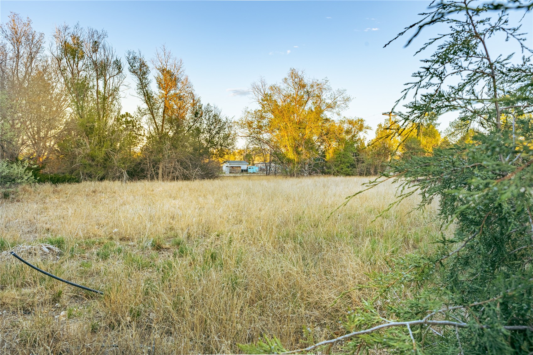 19861 Barnes Circle Other CO 80751