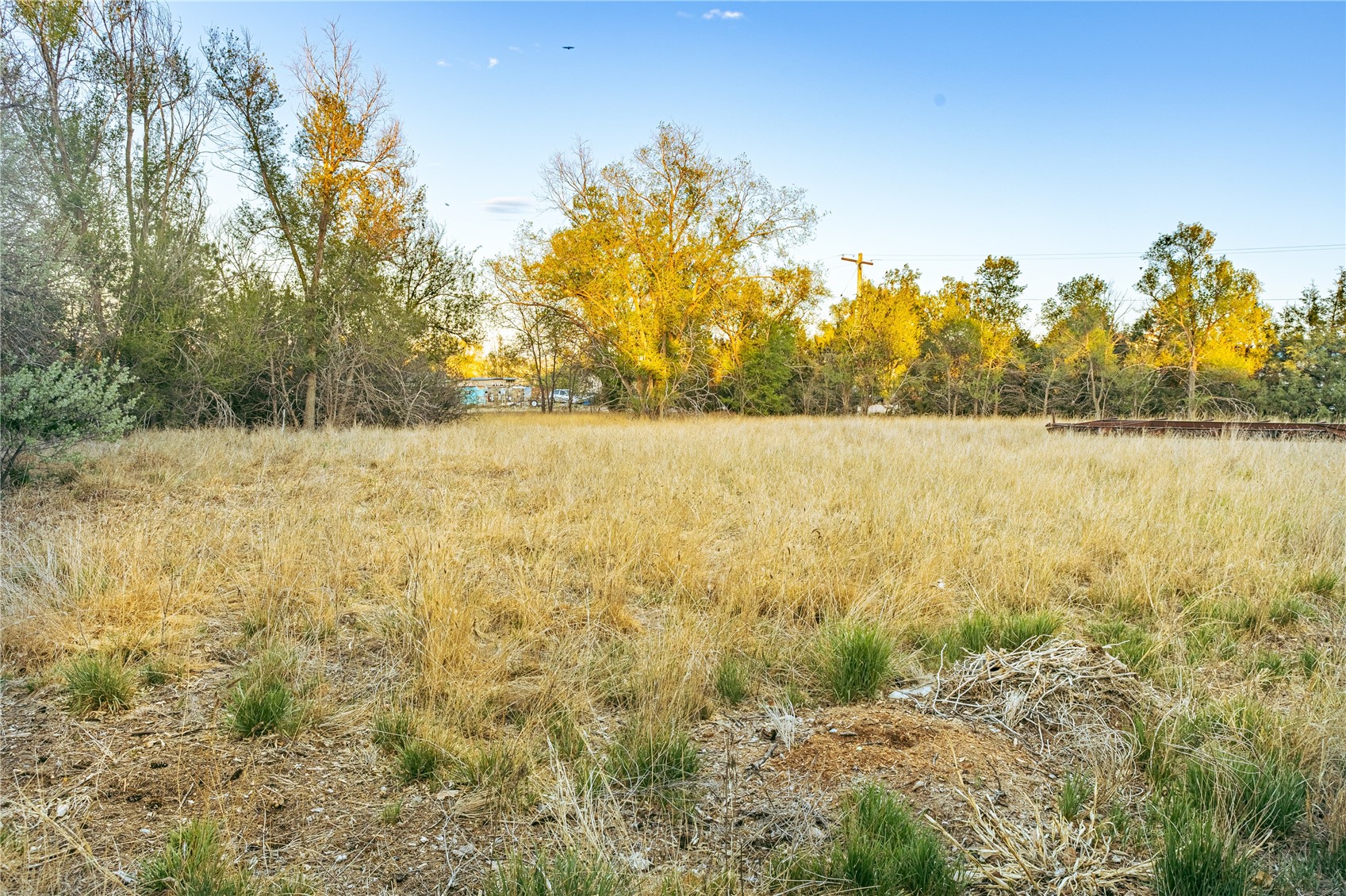 19861 Barnes Circle Other CO 80751