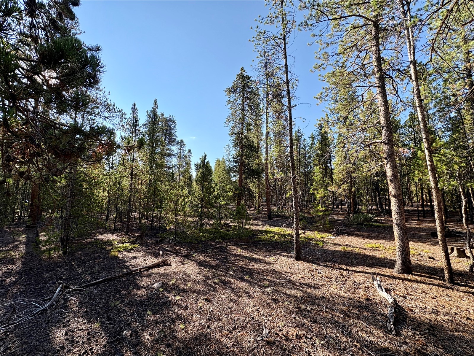 Tbd-lot 479 Birch Drive Twin Lakes CO 80461