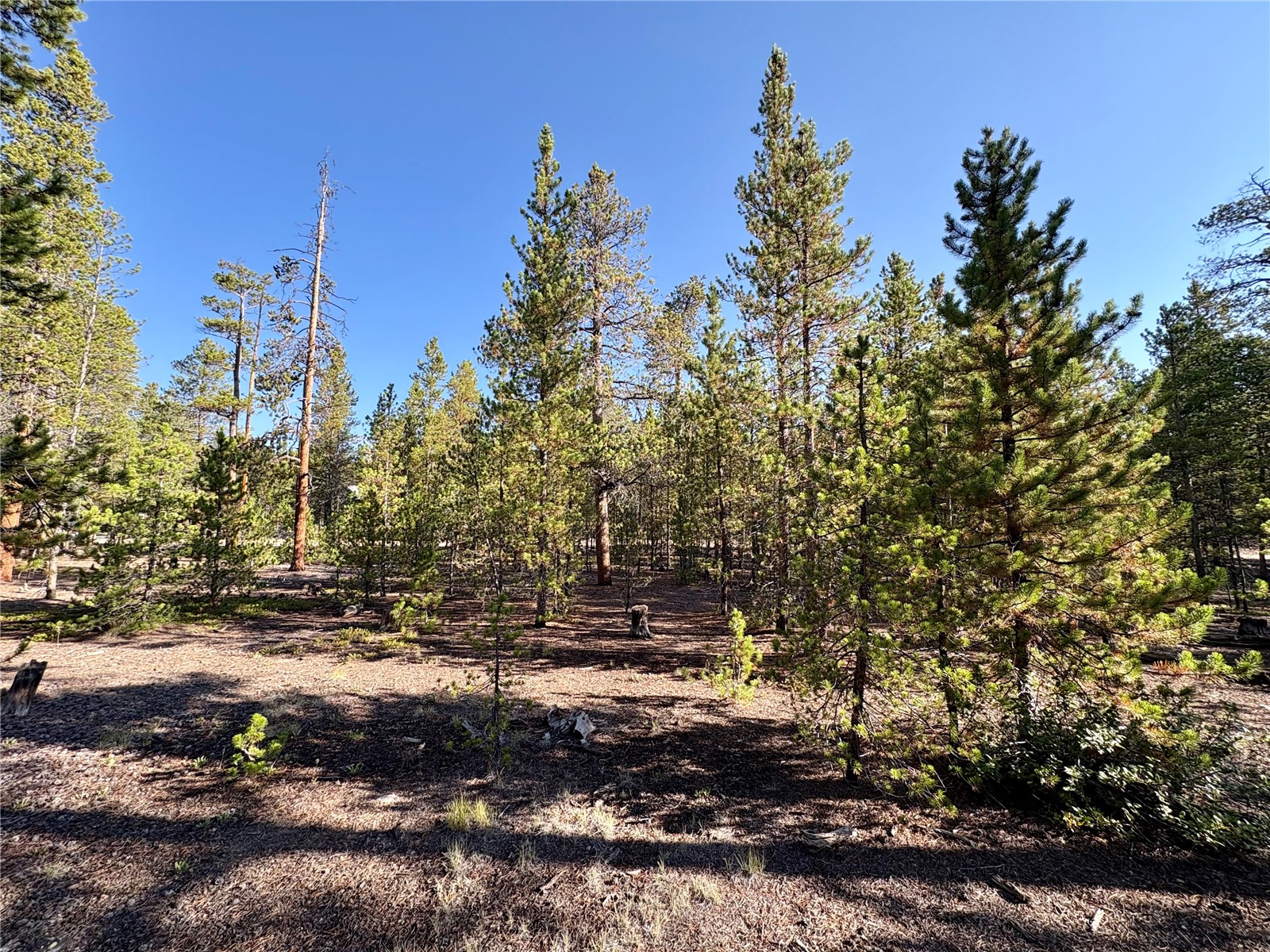 Tbd-lot 479 Birch Drive Twin Lakes CO 80461