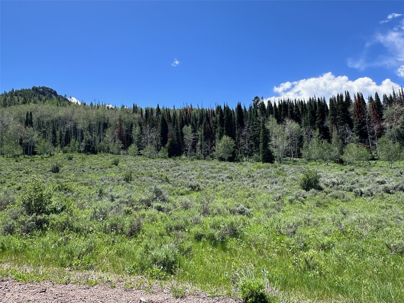 23910 Arapahoe Road Oak Creek CO 80467