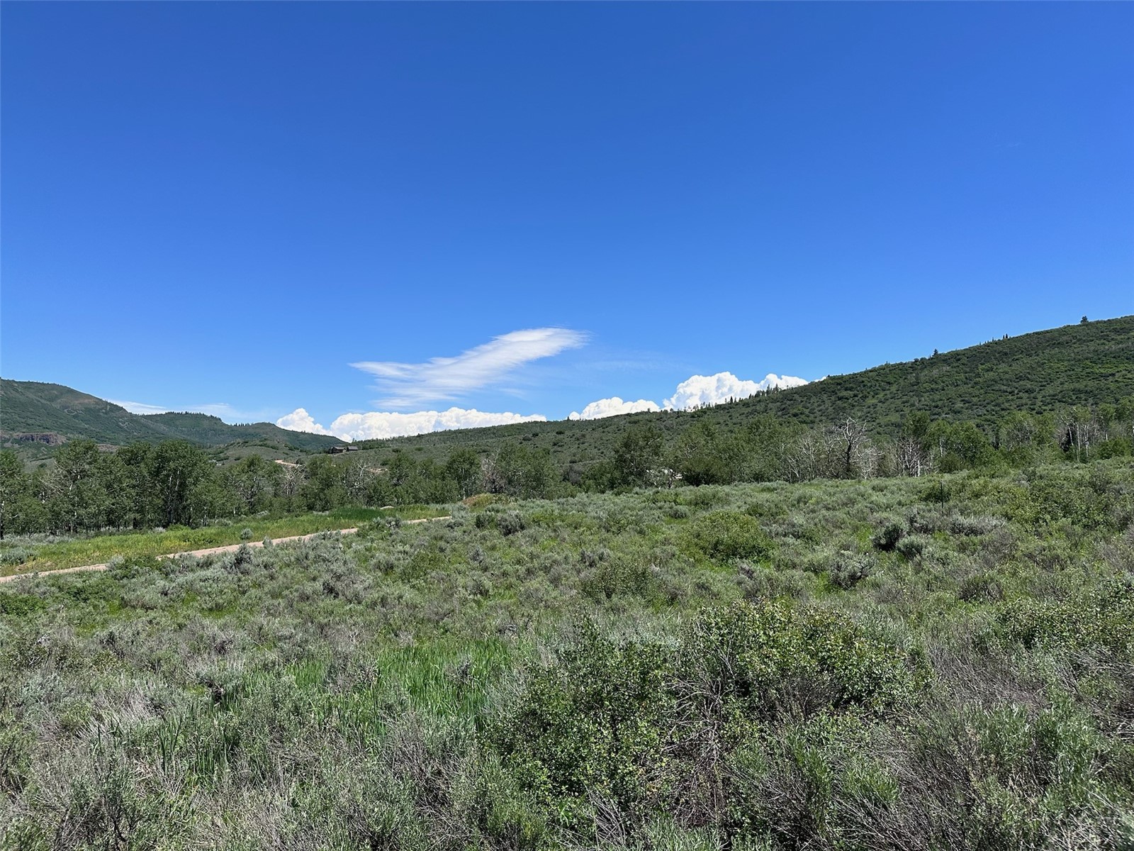 23910 Arapahoe Road Oak Creek CO 80467