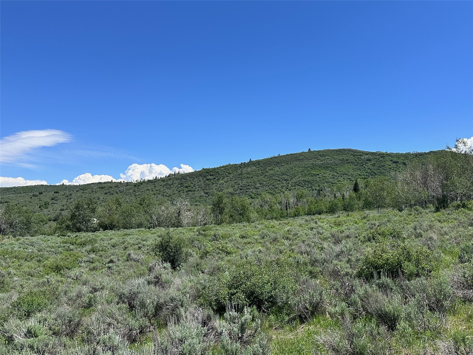 23910 Arapahoe Road Oak Creek CO 80467