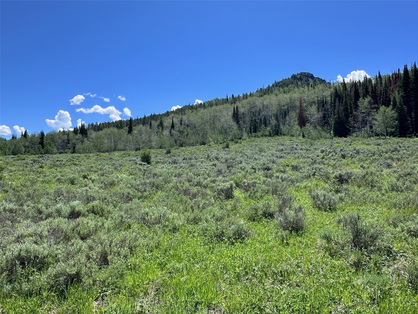 23910 Arapahoe Road Oak Creek CO 80467