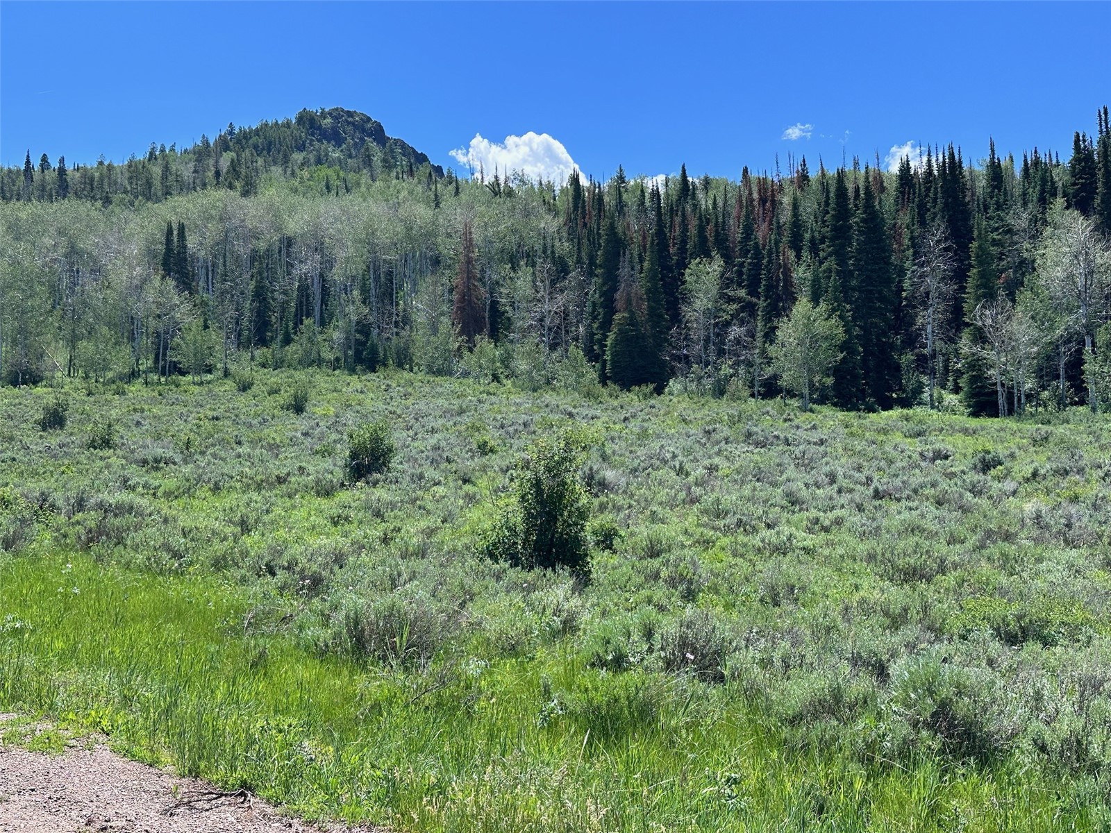 23910 Arapahoe Road Oak Creek CO 80467