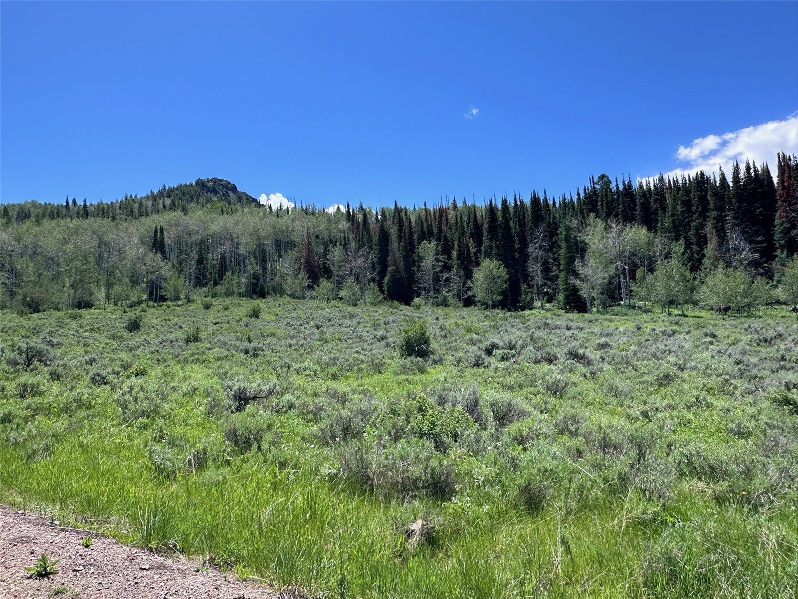 23910 Arapahoe Road Oak Creek CO 80467