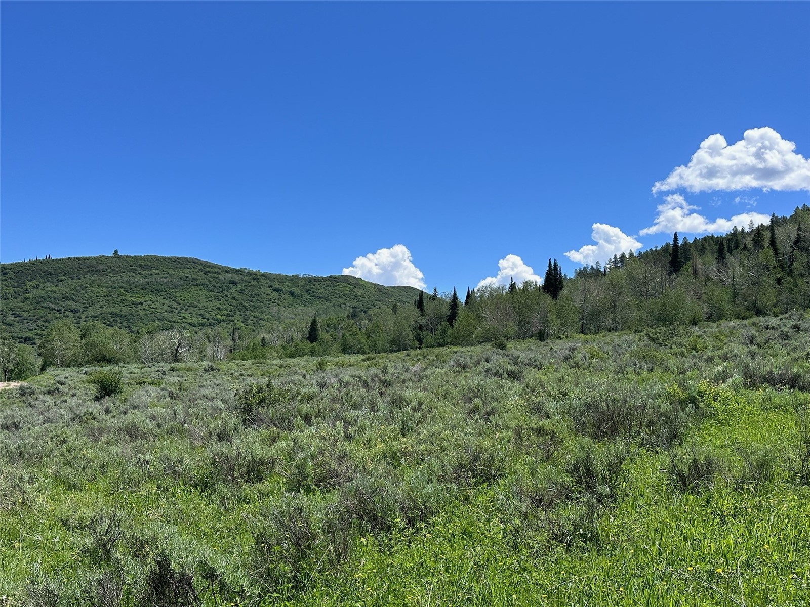 23910 Arapahoe Road Oak Creek CO 80467