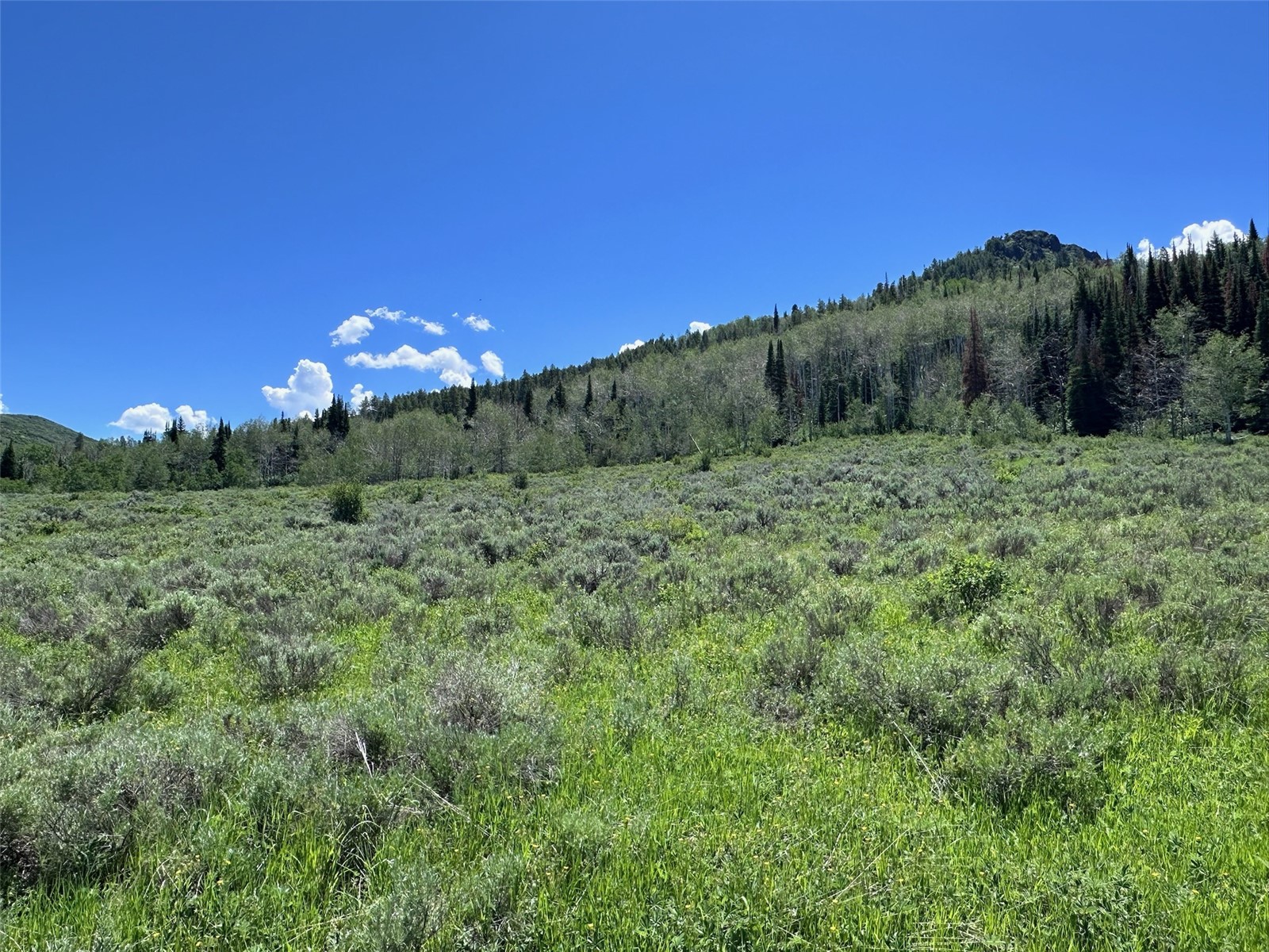 23910 Arapahoe Road Oak Creek CO 80467