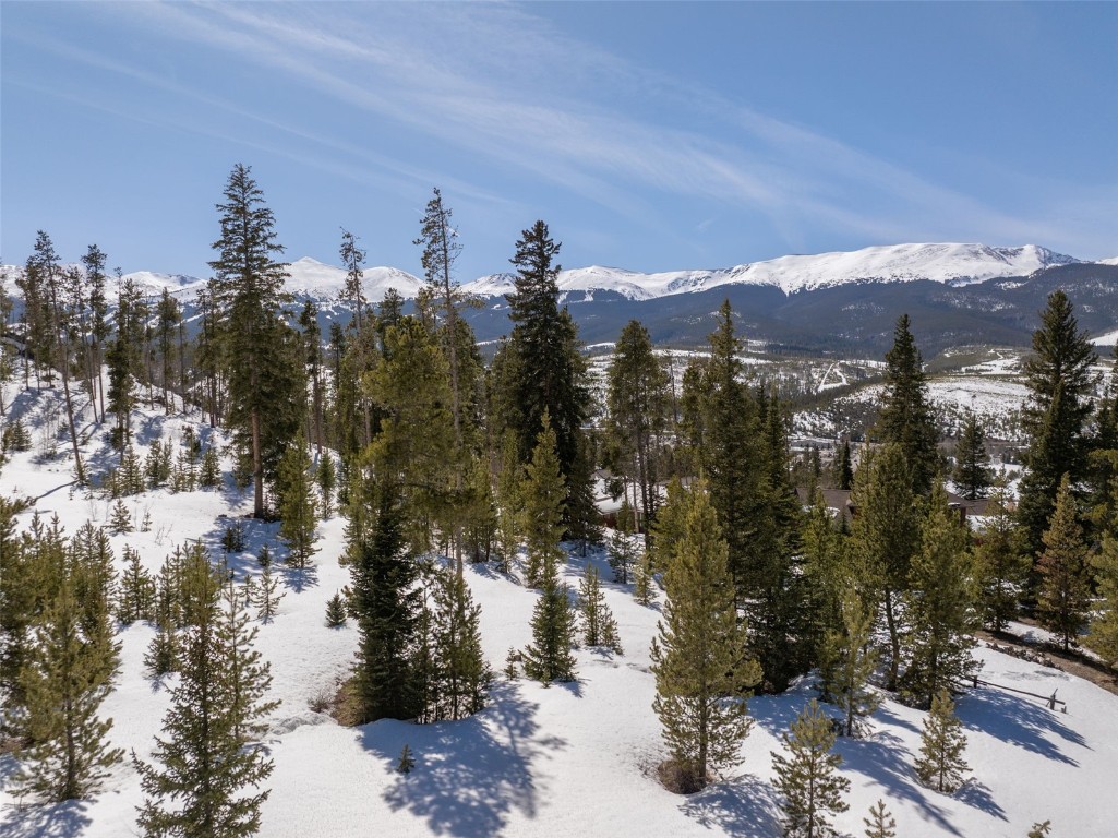 203 Spalding Terrace Breckenridge CO 80424