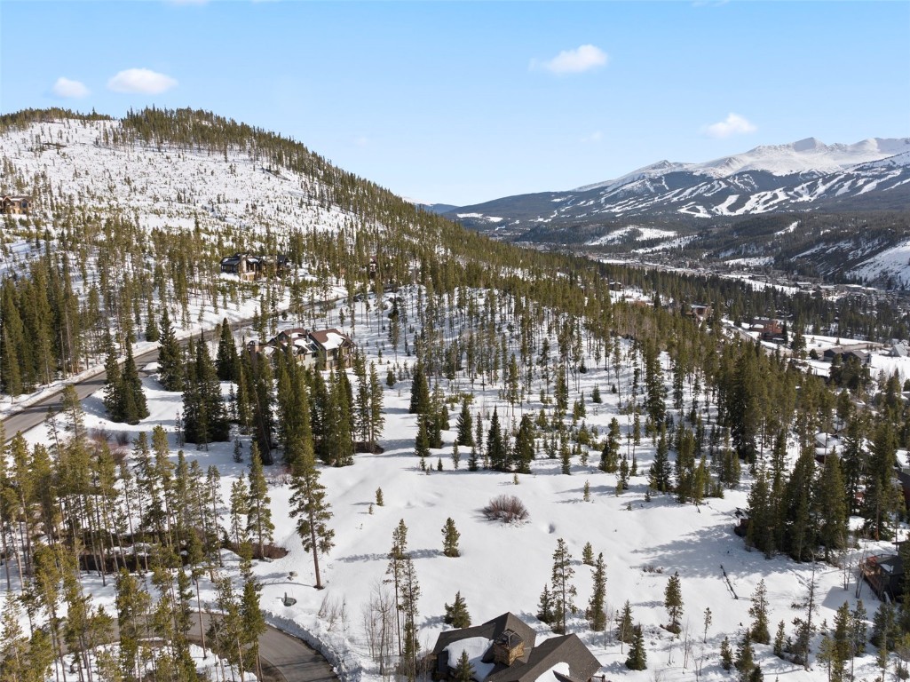 203 Spalding Terrace Breckenridge CO 80424