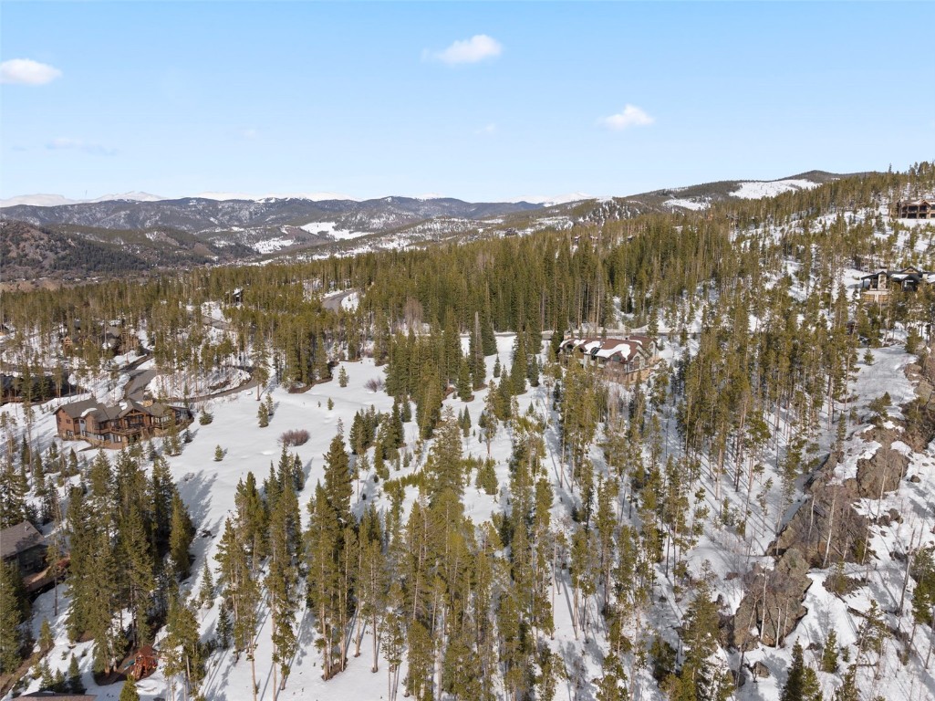 203 Spalding Terrace Breckenridge CO 80424