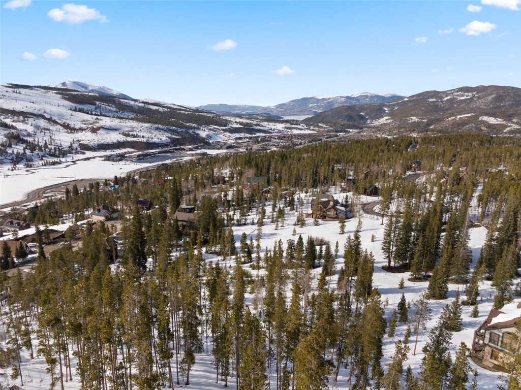 203 Spalding Terrace Breckenridge CO 80424